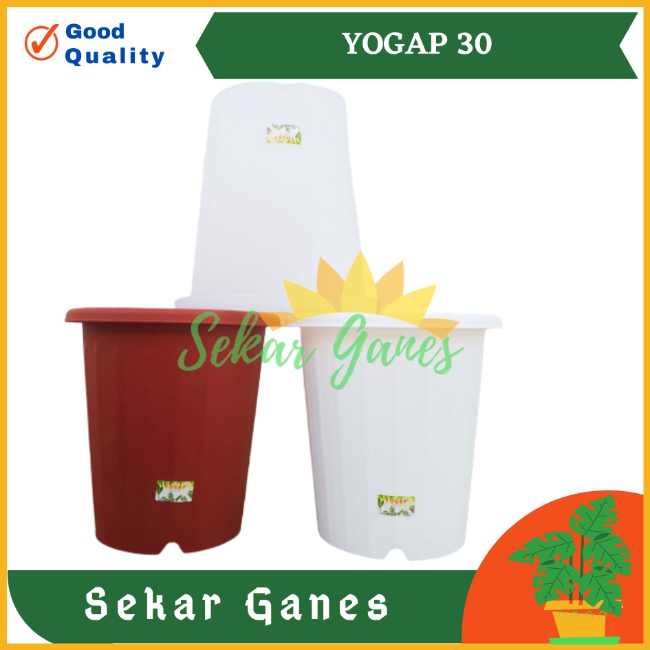 Sekarganes Pot Yogap 30 Putih Transparan Bening Merah Bata Pot Yogap Yoga Uk Mirip Pot Tawon Pirus 27 30 35