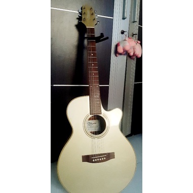 Takamine D Series ED11C SHG Electric Acoustic Guitars (Limited Colour)
