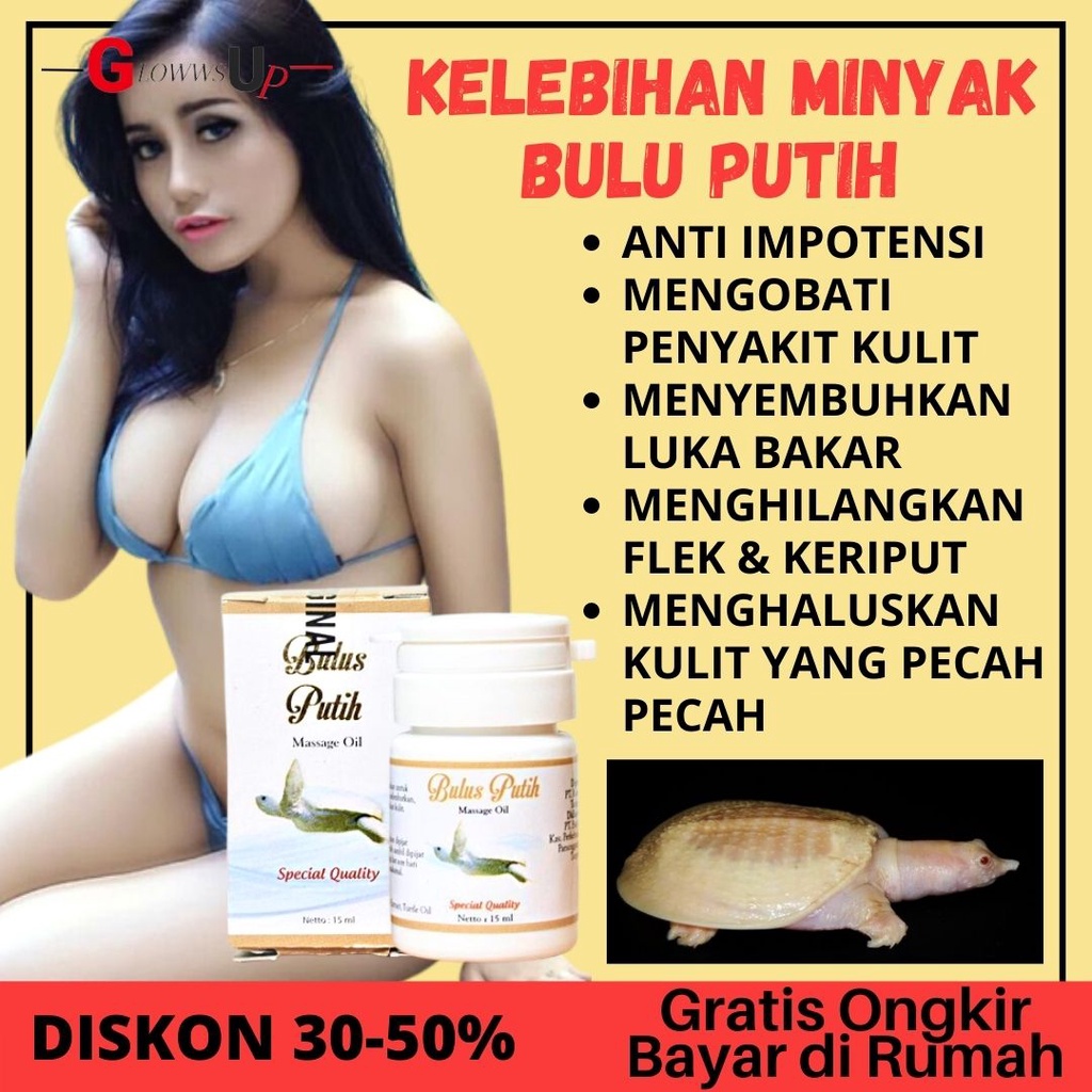 MINYAK BULUS PUTIH- PEMBESAR PAYUDARA - KESEHATAN - Bulus Putih Massage Oil / Minyak Bulus BPOM Original