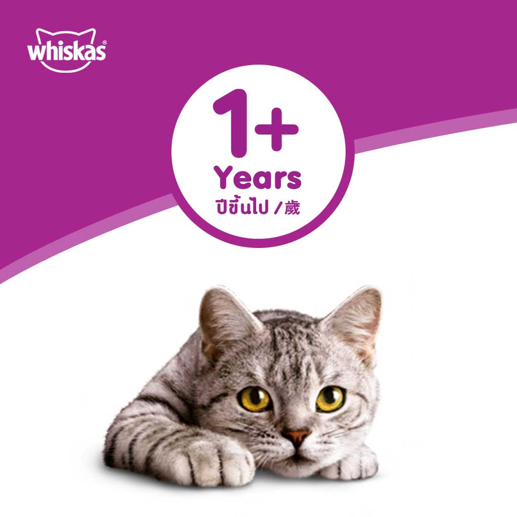 DISKON 20 Rekomendasi WHISKAS® Makanan Kucing Basah Pouch 80gr Isi