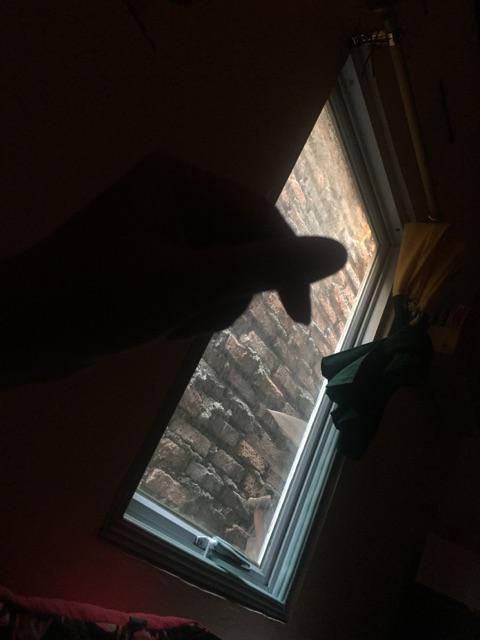 Tempat Sikat Gigi Travel Peralatan Mandi Portable Alat Kamar Mandi Perlengkapan Kamar Mandi 156