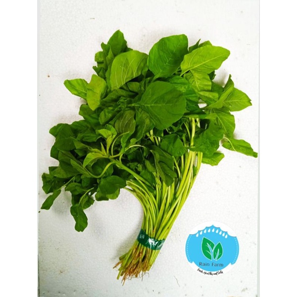 

Bayam Hijau 250 gr Rain Farm Sayur Segar Bandung