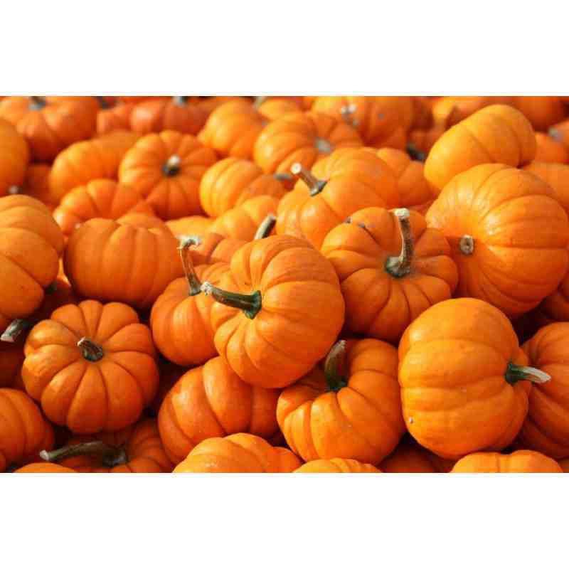 

Labu kabocha segar berkualitas - 1 Pcs