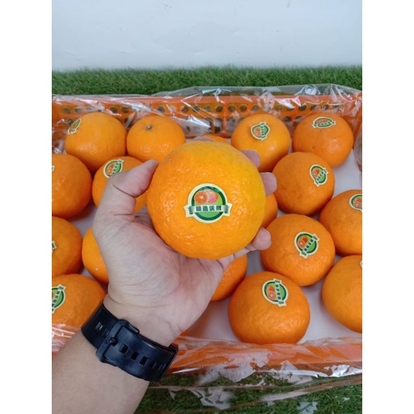 

Jeruk Wokam Wogan China Fresh 1keranjang