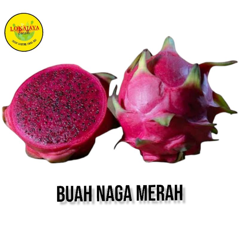

Buah Naga Merah 1 Kg