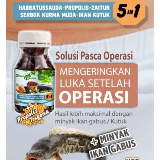 

BLACK SATIVA ISI 210