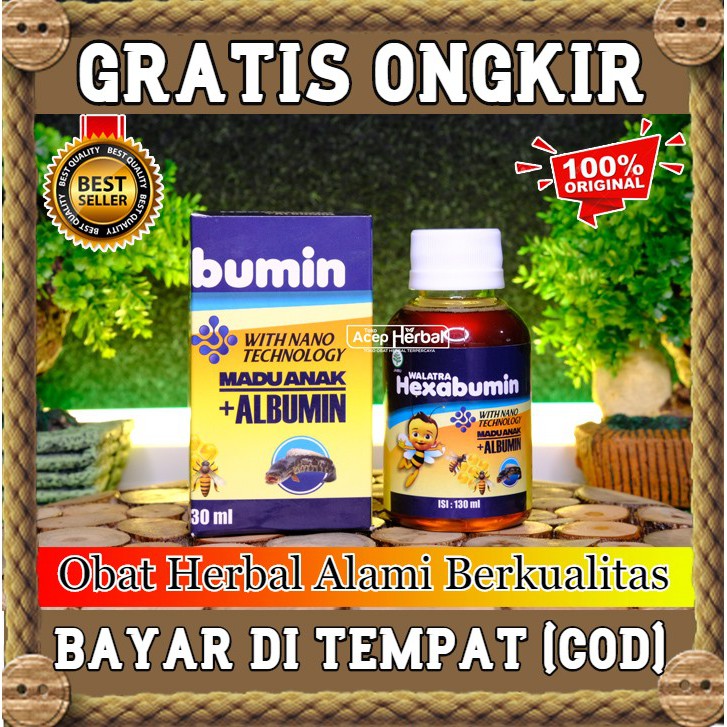 

Obat Penambah Nafsu Makan, Obat Penambah Berat Badan Anak - Hexabumin + Madu + Albumin + Temulawak