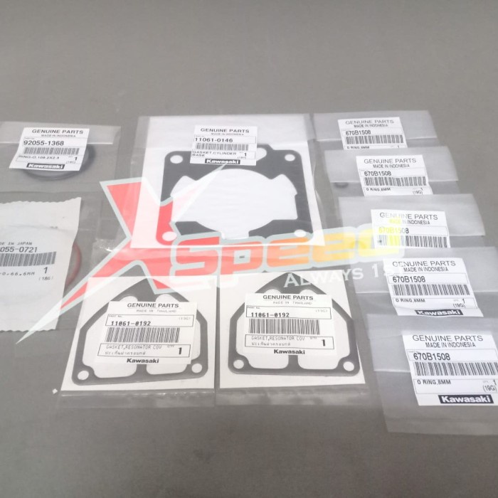 Paking Top Set Ninja R/RR CKD