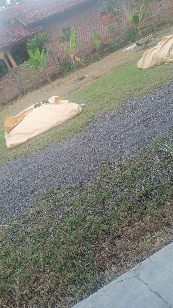 Celana Sarung Batik Anak Abata-tsa Termurah