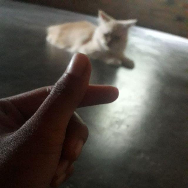 Batik Couple Terlaris Batik Pekalongan