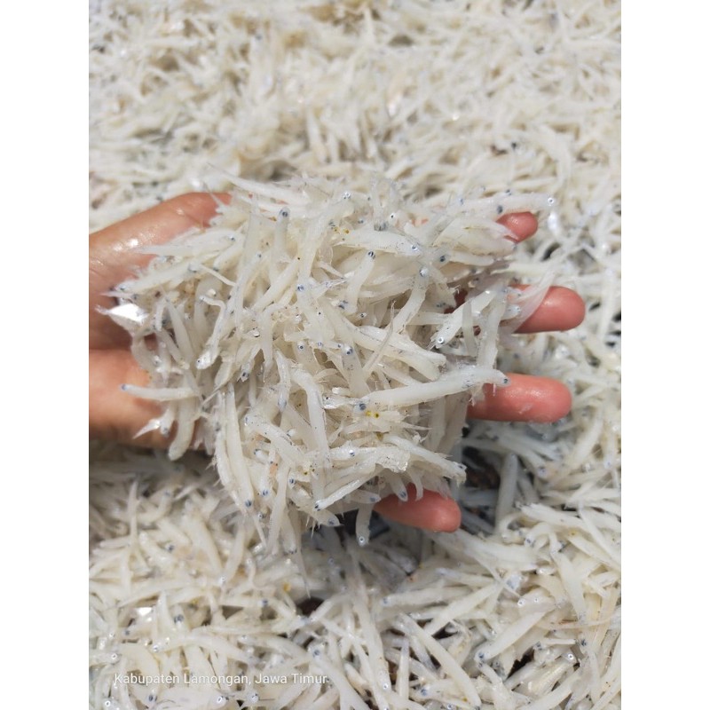 

ikan teri medan kering