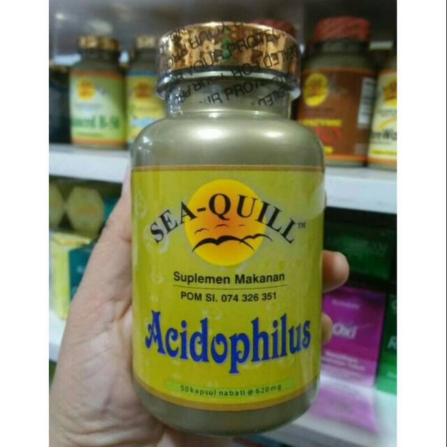 Sea Quill Acidophilus isi 50 Prebiotik utk pencernaan
