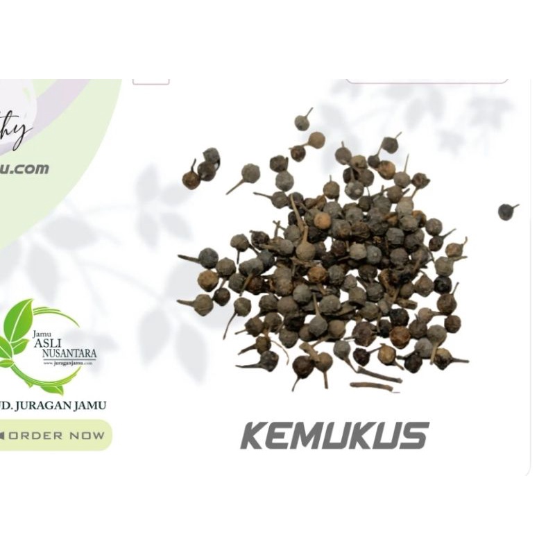 

Biji Kemukus kering 25 gram / Lada jawa utuh / piper cubeba