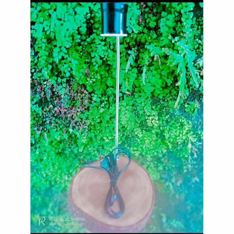 Lampu aquarium bulat bowl  mini aquascape terrarium bulat