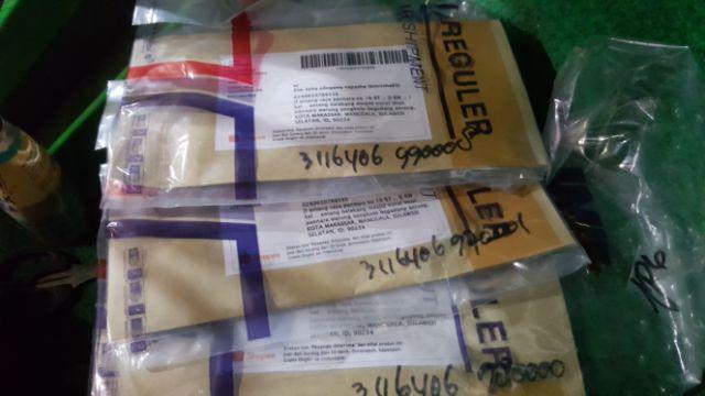 (36 Seeds) Biji Benih Bunga Mawar 36 Varieties Of Roses Mixed