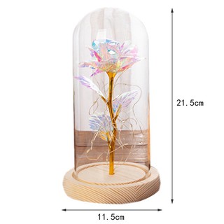 Glass dome full bunga kering dengan lampu led lampu tidur Glass dome full bunga kering dengan lampu led lampu tidur