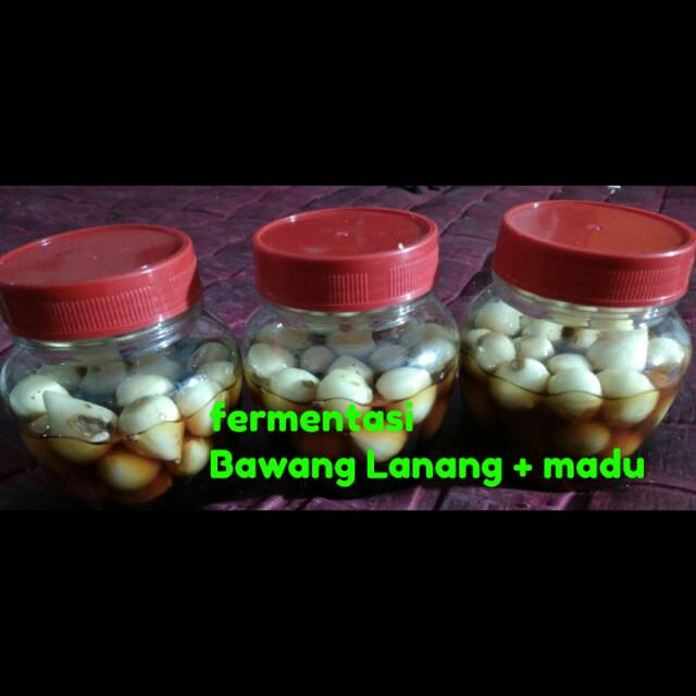 

Fermentasi Bawang+madu