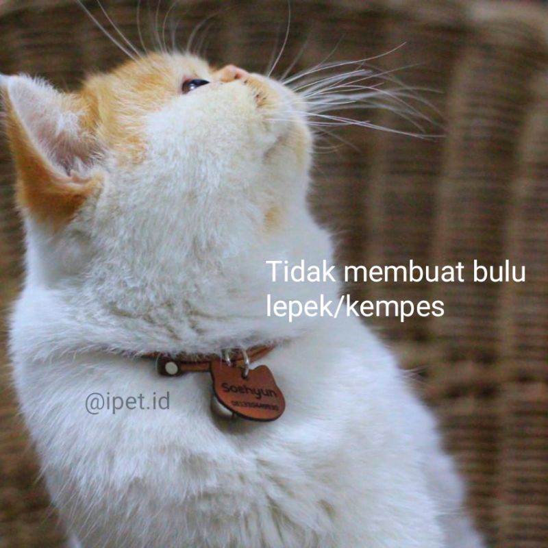 KALUNG KUCING NAMA CUSTOM LONCENG untuk KITTEN dan DEWASA MODEL TALI KULIT ASLI