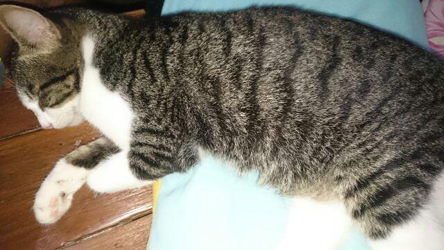 Batik Jumbo Big Size Jumbo Xxl Xxxl 3l 4l 5l Murah Batik Jumbo Couple m,l,xl,xxl,xxxl,xxxxl,xxxxxl