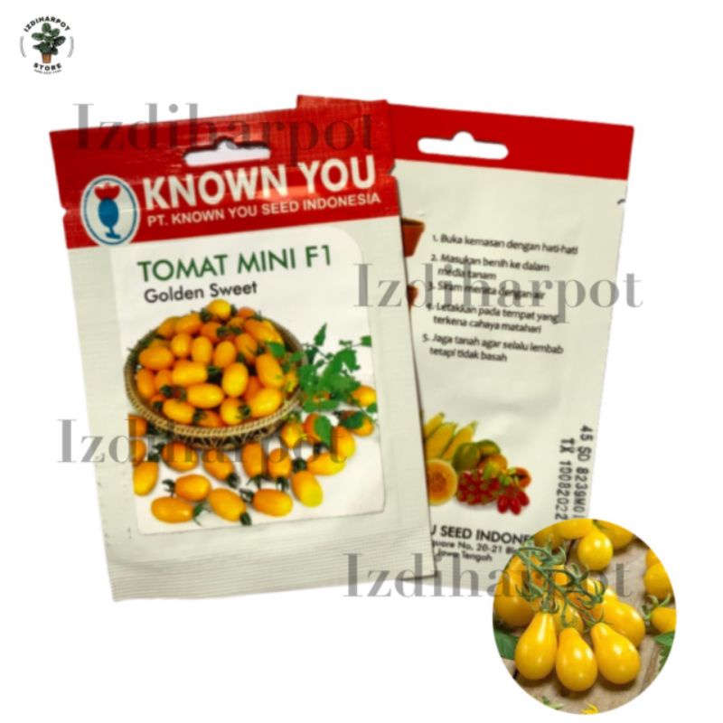 Benih bibit TOMAT MINI KUNING F1 GOLDEN SWEET known you seed - KYS GOLDEN SWEET