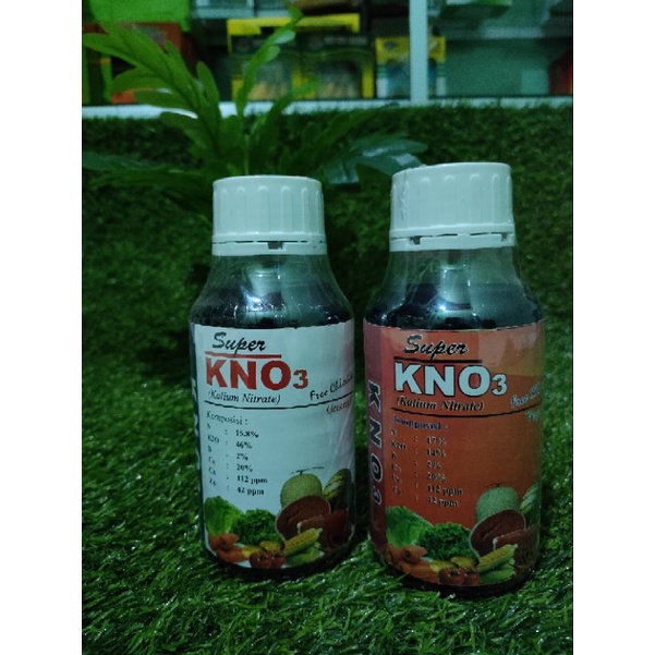 

KNO3 Cair Merah Dan Putih Kemasan 500ml Efektif Meningkatkan bunga dan Buah Sayuran
