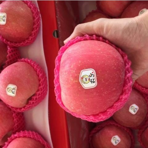 

Apel Fuji Super Premium Buah Segar