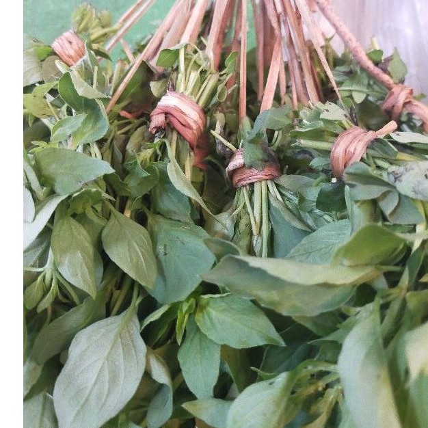 

Daun Kemangi (3 ikat)