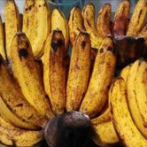 

Pisang Barangan 1 Sisir