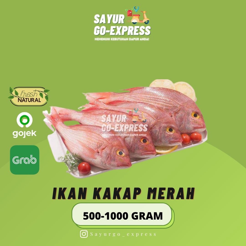 

Ikan Kakap Merah 500- 1000 gram