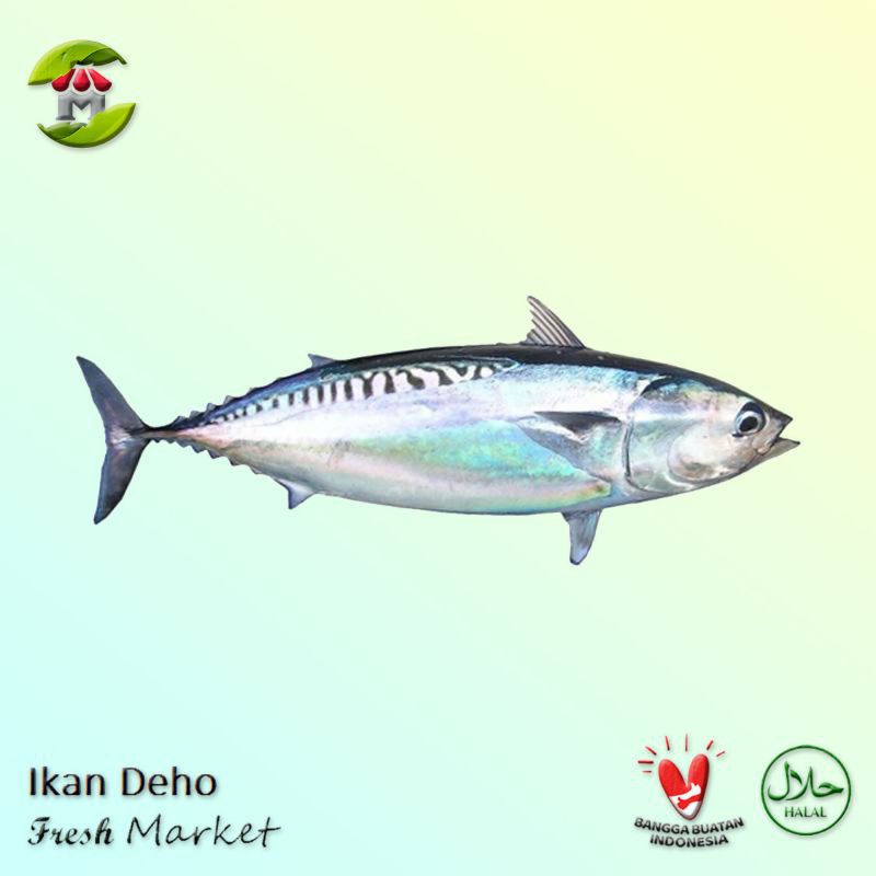 Ikan Deho Tongkol Cakalang 900gr - 1.000gr