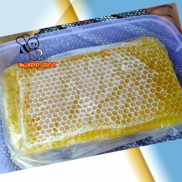 

1 KG MADU SARANG MELLIFERA ASLI KUNING TERLARIS