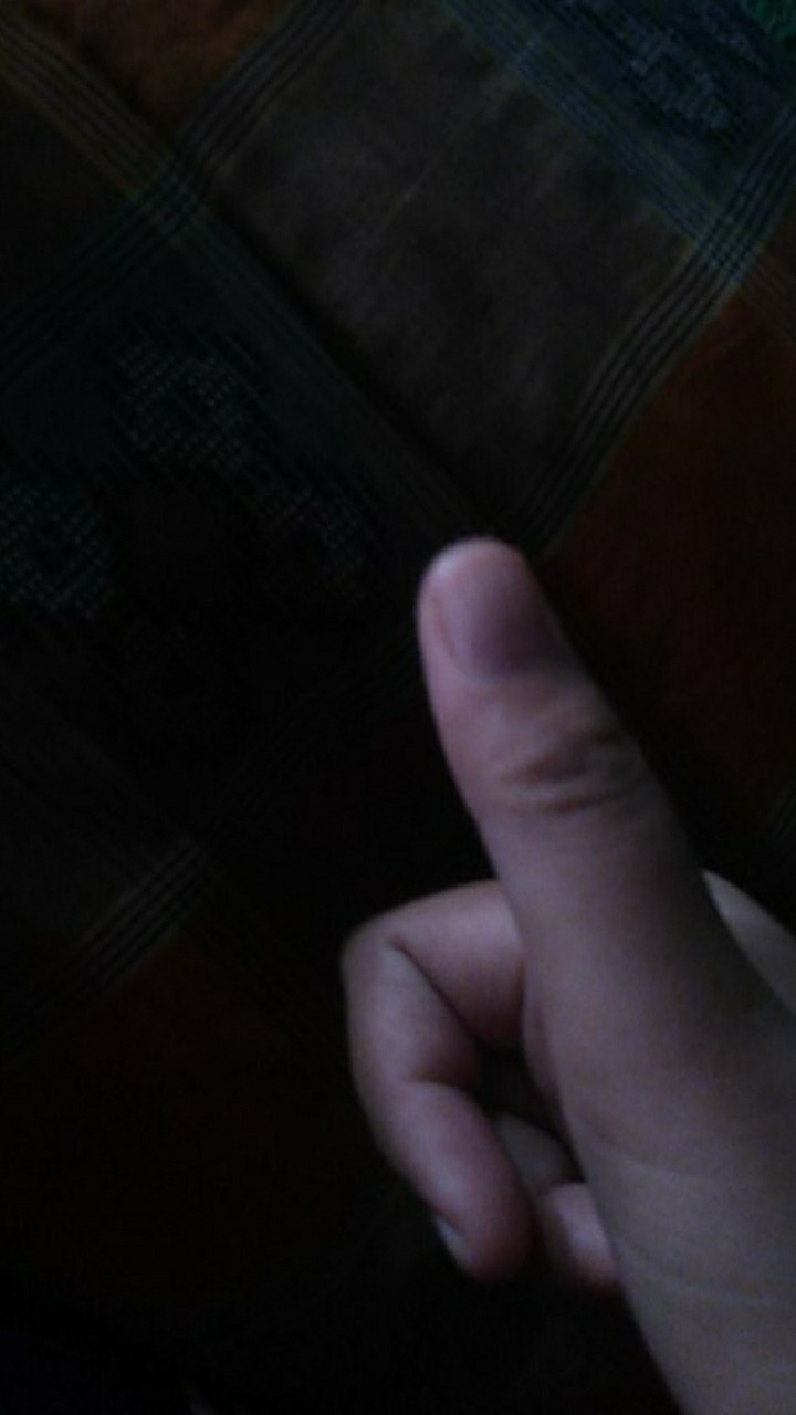 Atasan Batik Pria | Cendrawasih Sogan By Batik Florist