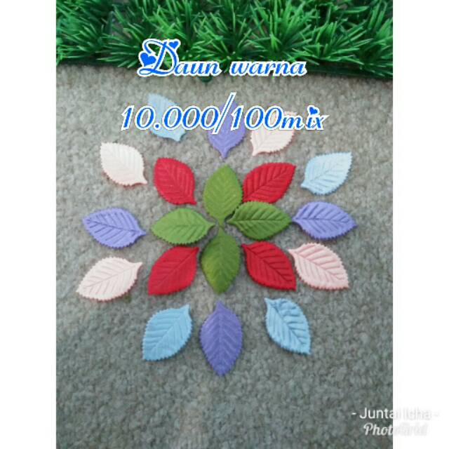 

Daun warna