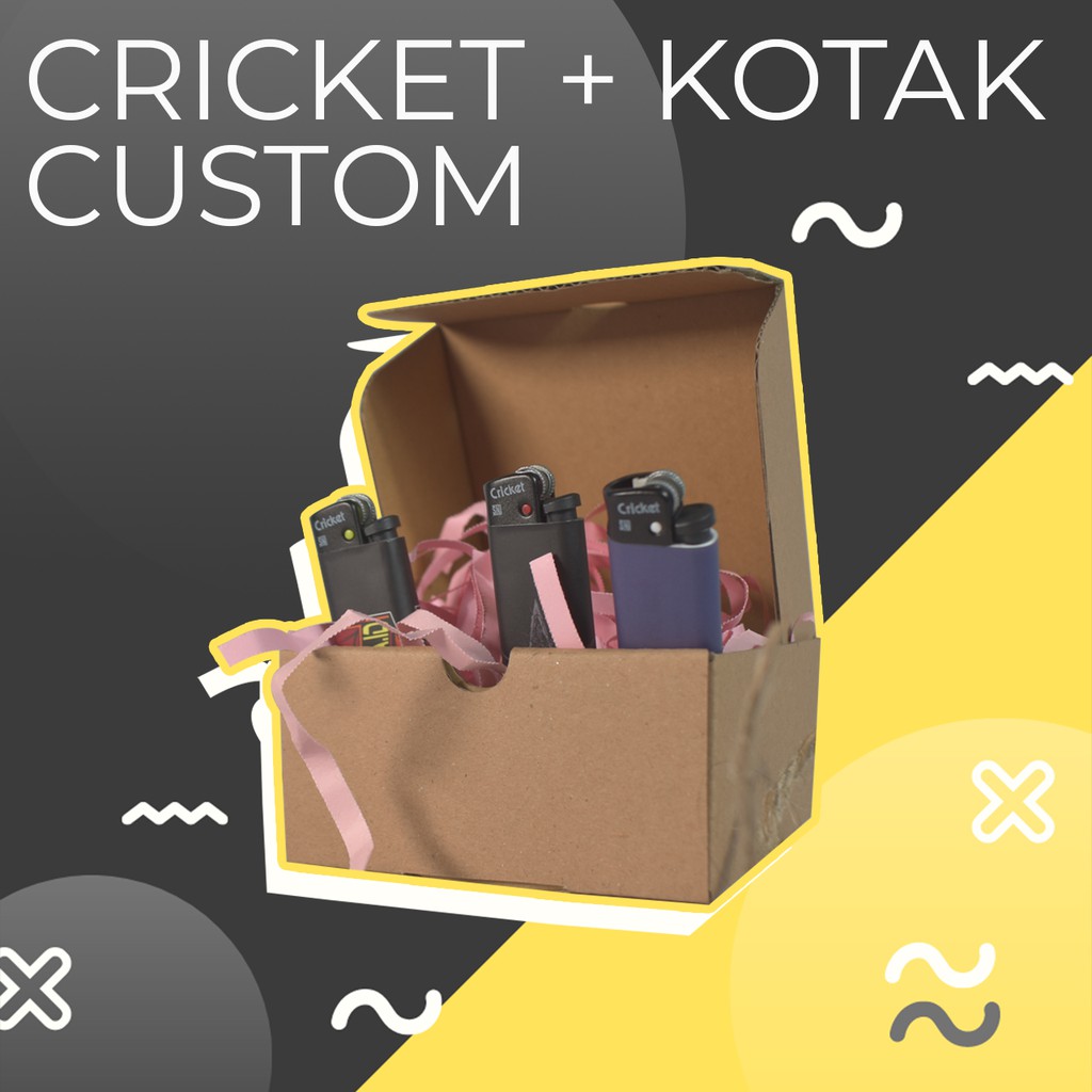 CUSTOM CRICKET BONUS BOX KARDUS PITA LUCU