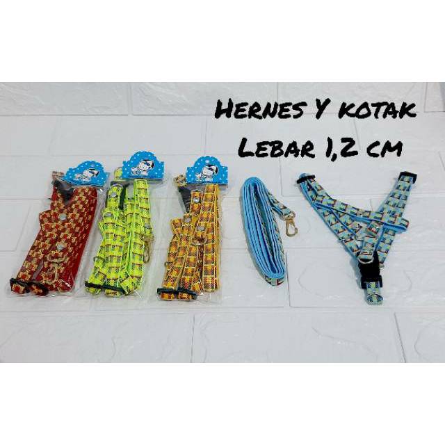 Tali hernes Y KOTAK 1,2 CM kucing