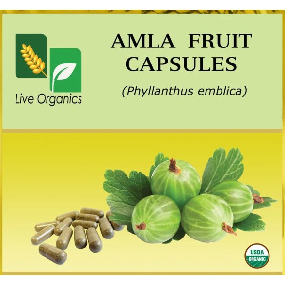 AMLA POWDER 75 Kapsul | Buah Malaka / Amalaki Fruit Extract Powder