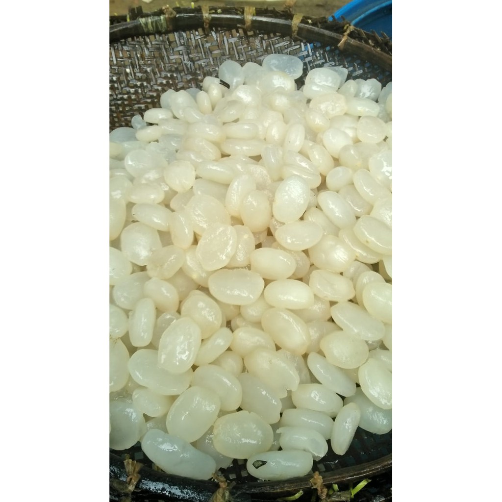 

Kolang-Kaling Kiloan