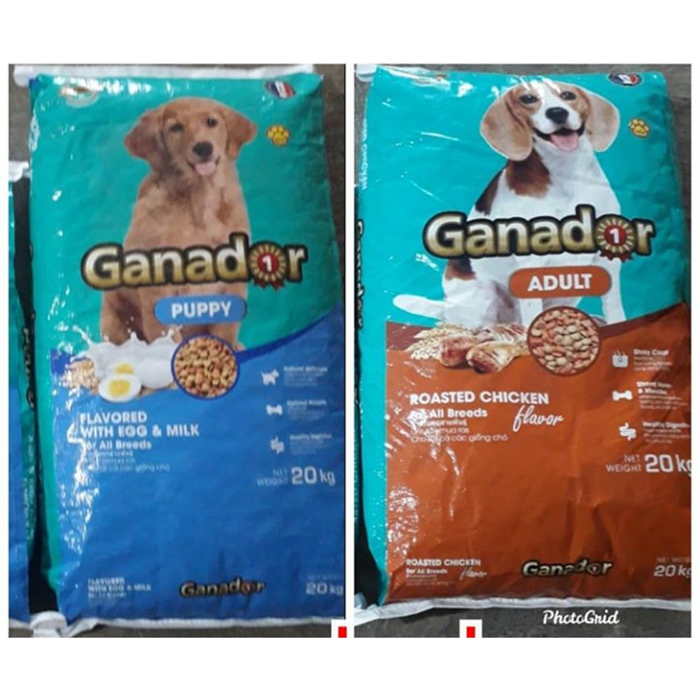GANADOR PUPPY EGG & MILK FLAVORED 3 KG - MAKANAN ANJING