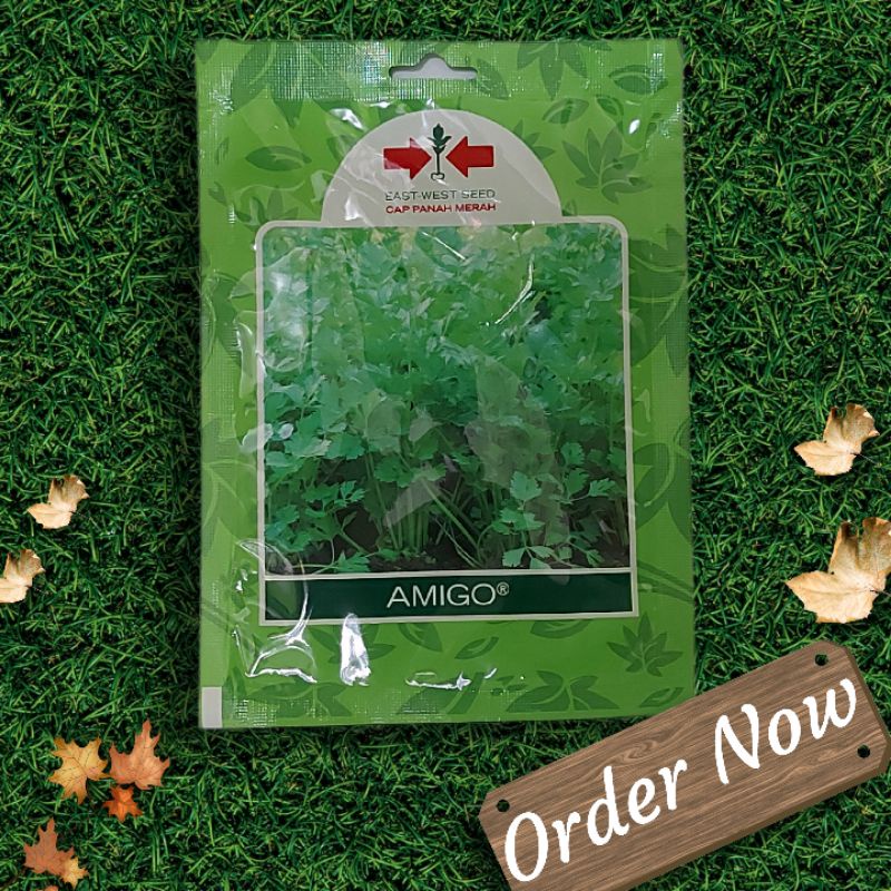 BENIH SELEDRI AMIGO 50gr