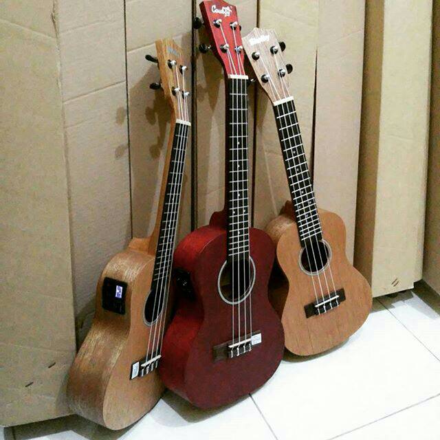 Ukulele Akustik Elektrik Concert Pabrikan MII