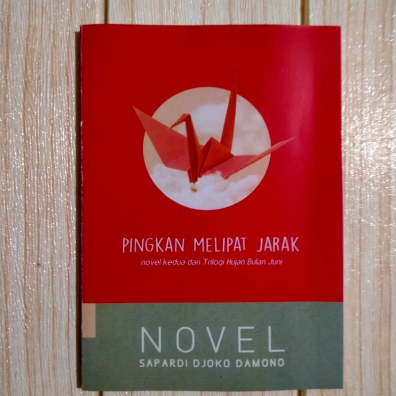 NOVEL (Pingkan Melipat Jarak)