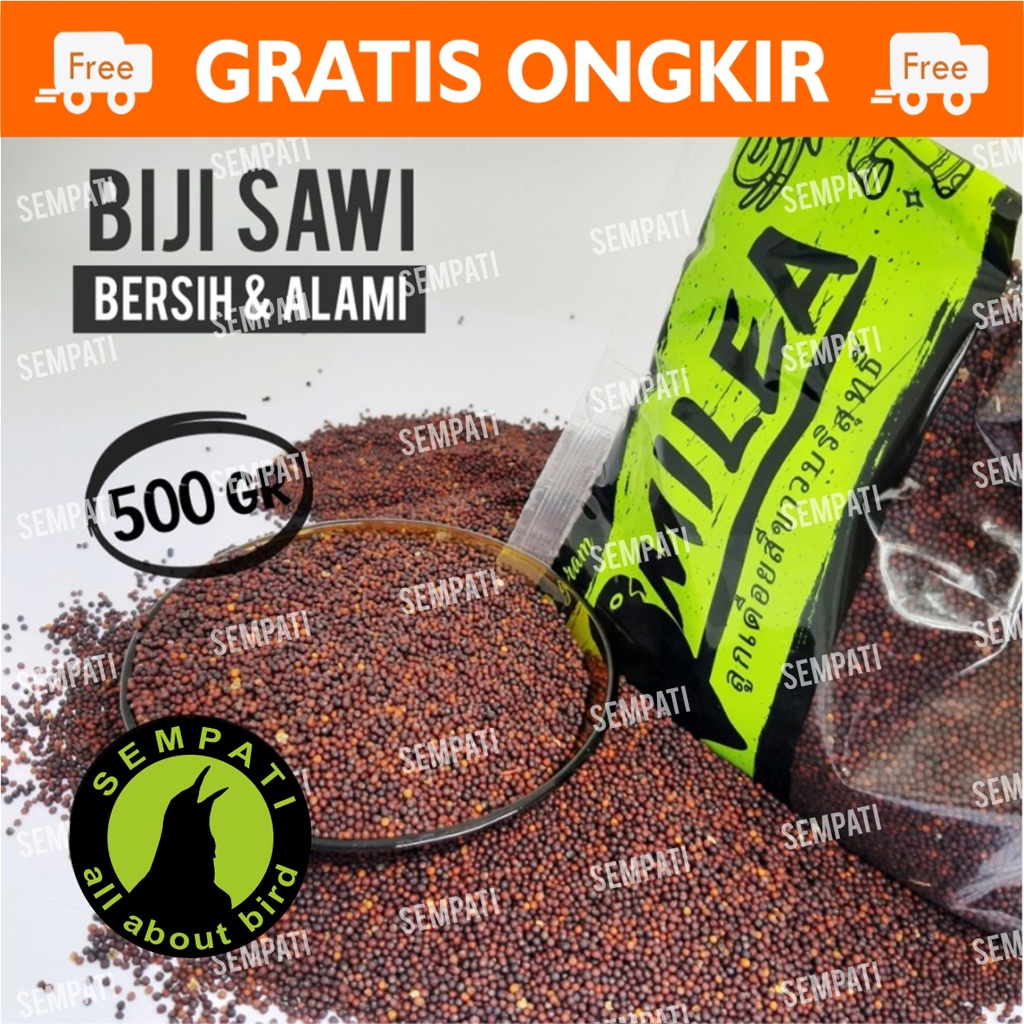 BIJI SAWI SEMPATI 500 GRAM PAKAN BURUNG BIJI SAWI BERSIH KENARI FINCH PAUD LOVEBIRD HARIAN BSW5SM