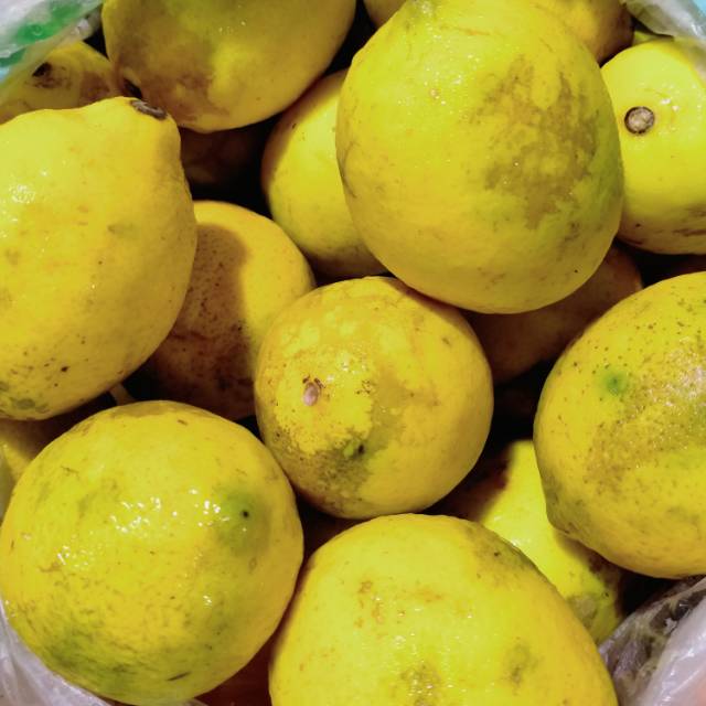 

JERUK LEMON