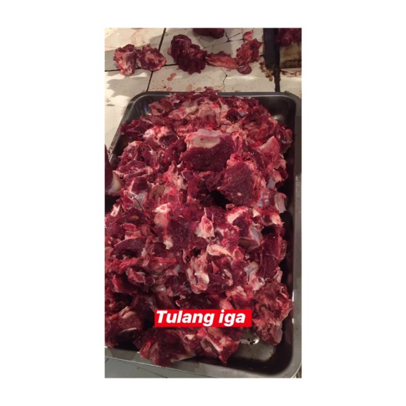 TULANG IGA SAPI