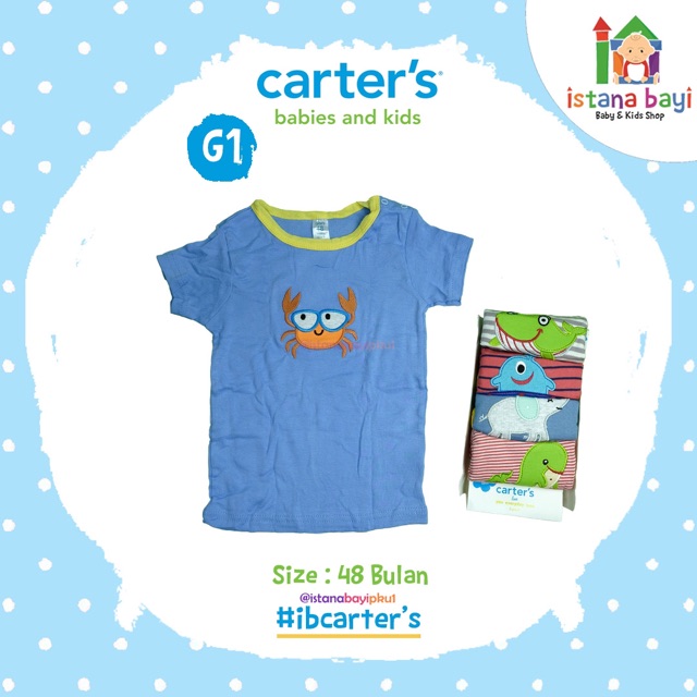 carterlove Tee Premium 5in 1 - Carter Tee Premium 18-48 Bulan Boy