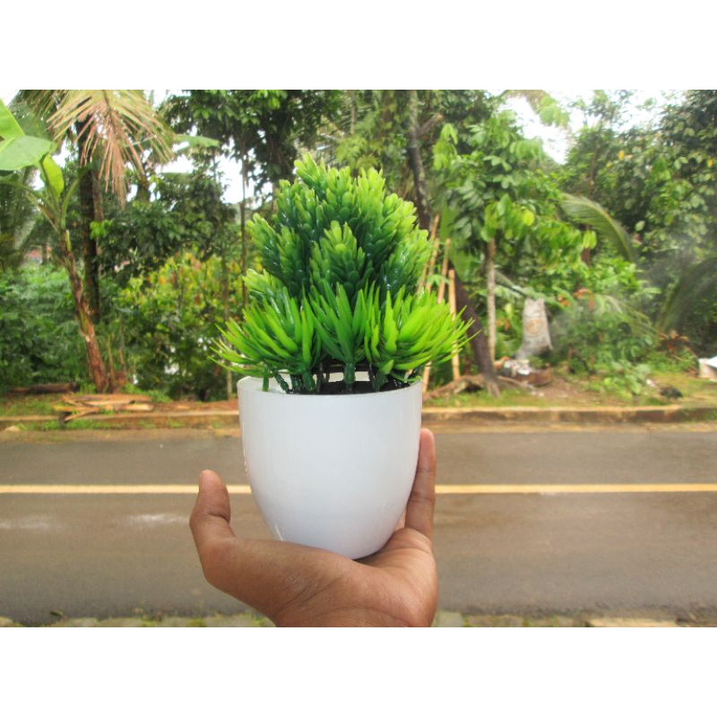 KAMERA POCKET CANON POWERSHOT A2300 BEKAS SECOND MULUS-4