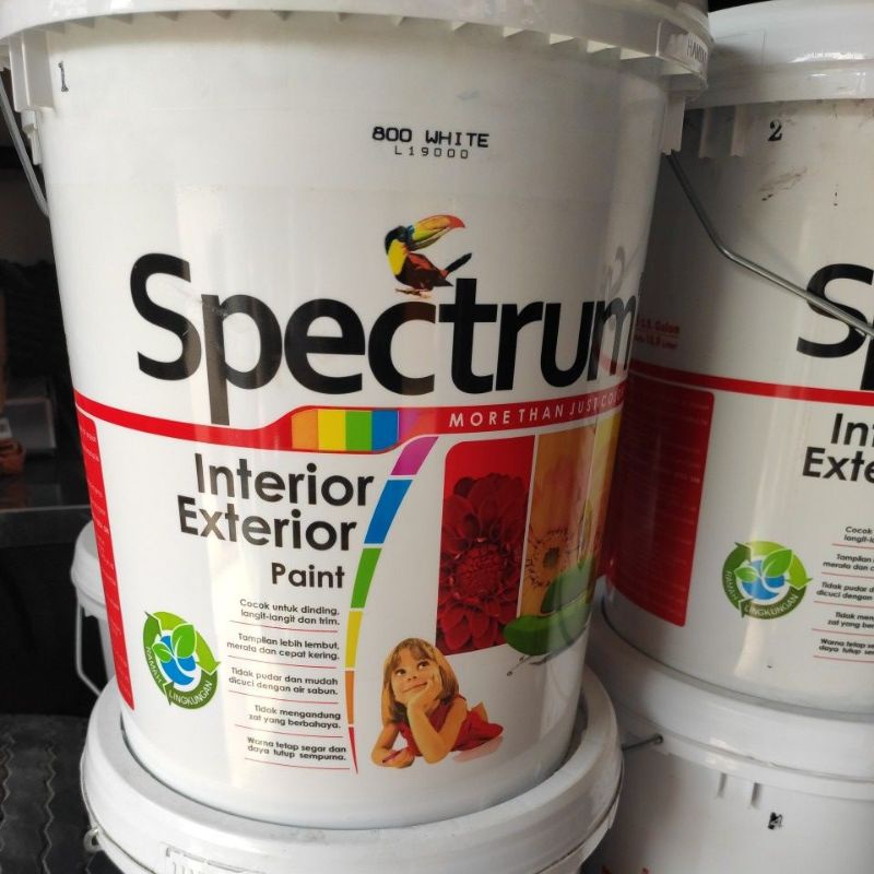Cat Tembok Putih Spectrum Pail