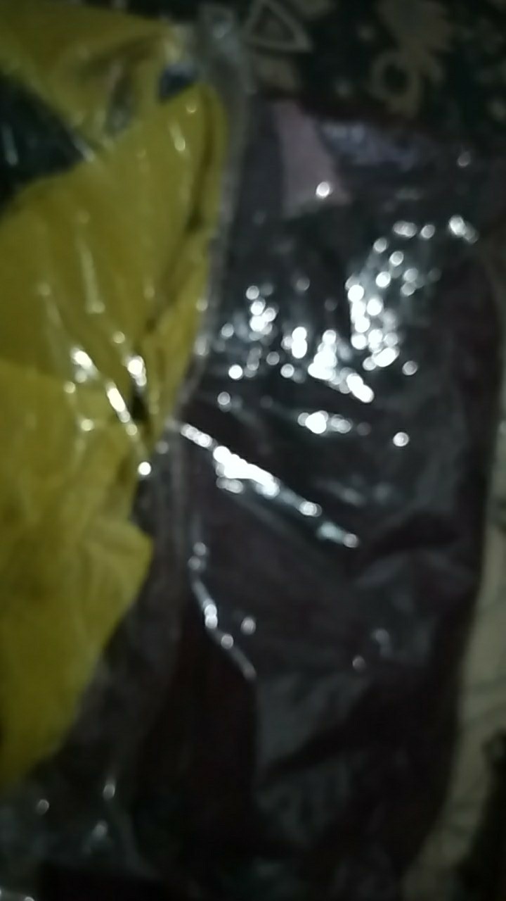 Tanaman Hias Taman Bougenville Putih