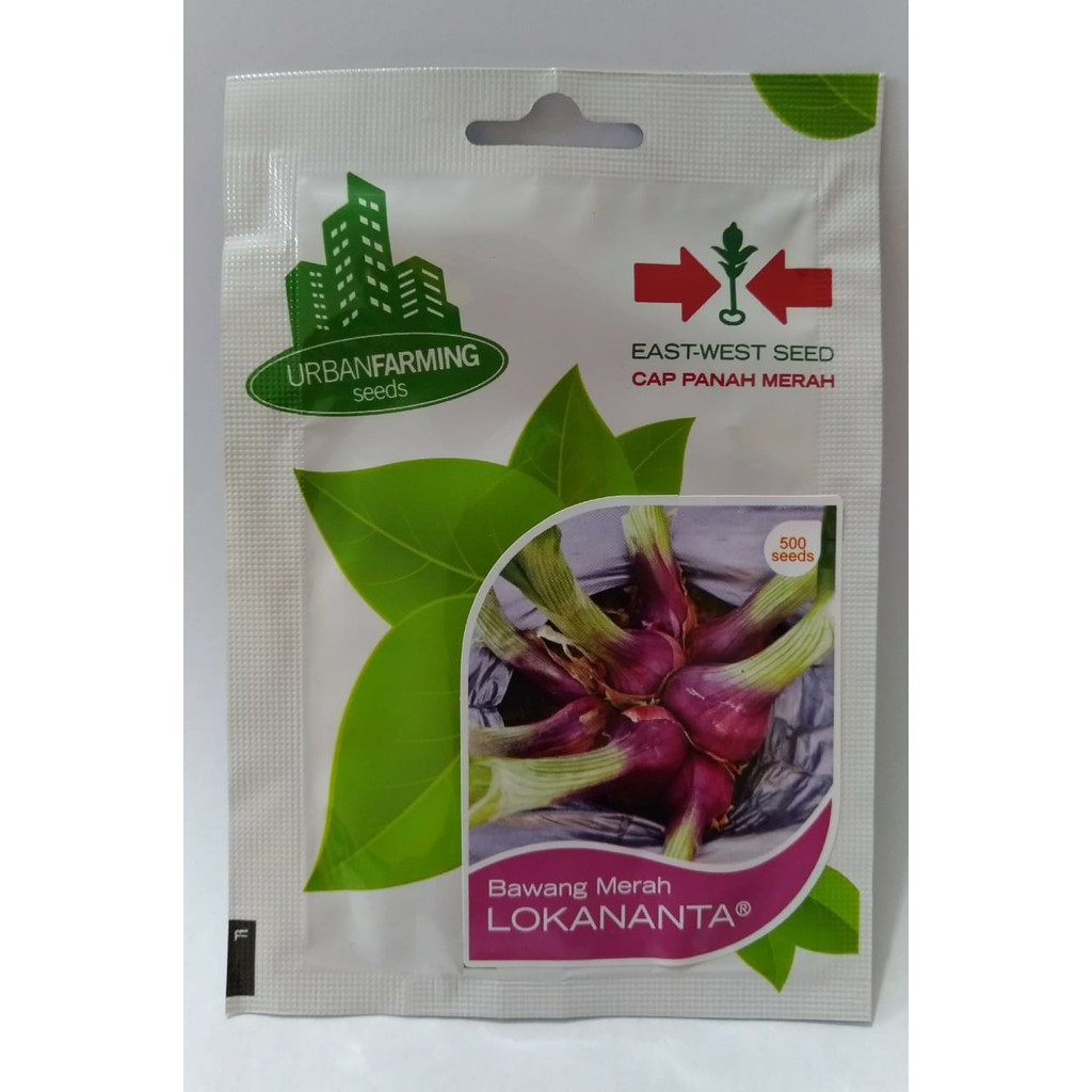 Benih Bawang Merah LOKANANTA