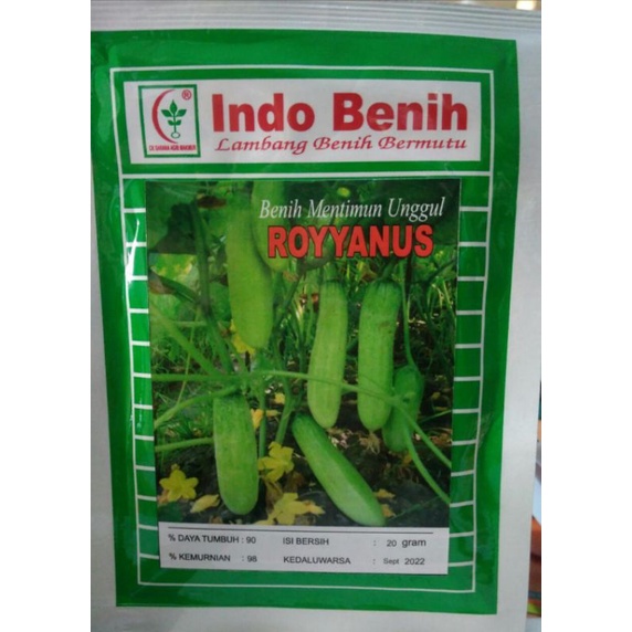 BENIH TIMUN MENTIMUN UNGGUL ROYYANUS MIRIP BANDANA